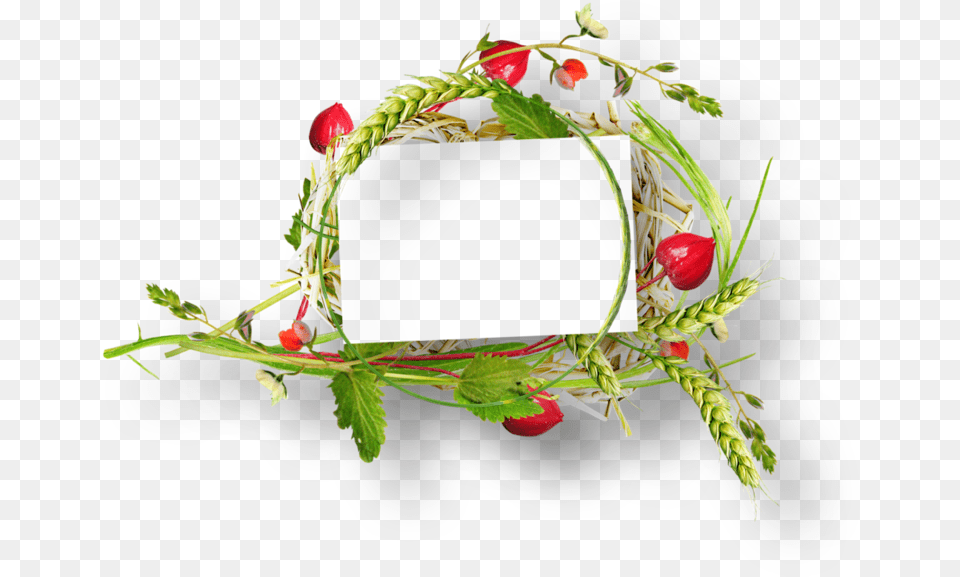 Ramka Palmy Wielkanocne, Plant, Flower, Rose, Flower Arrangement Png