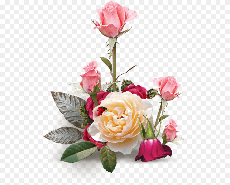 Ramki Dlya Fotoshopa Cveti Babochki, Flower, Flower Arrangement, Flower Bouquet, Plant Free Png Download