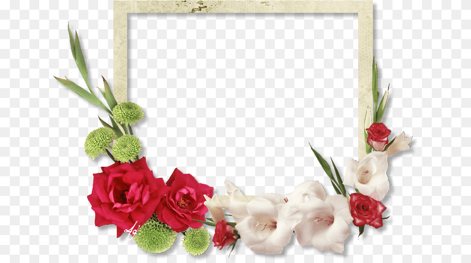 Ramki Dlya Fotoshopa Skachat Besplatno, Rose, Plant, Flower, Flower Arrangement Png