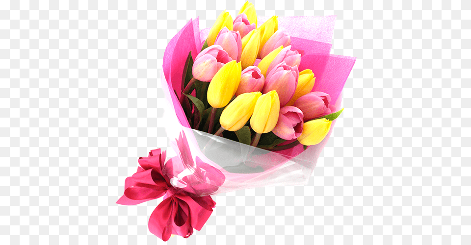 Ramo Con Tulipanes Ramos De Flores Tulipanes, Flower, Flower Arrangement, Flower Bouquet, Plant Free Png