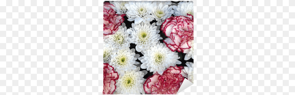 Ramo De Flores Flower Bouquet, Carnation, Dahlia, Plant, Flower Arrangement Png Image