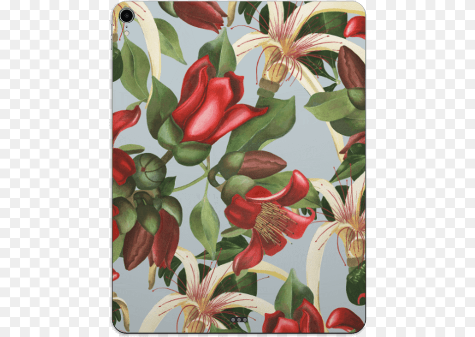 Ramo De Flores Vinilo Ipad Pro Hybrid Tea Rose, Art, Floral Design, Graphics, Painting Png