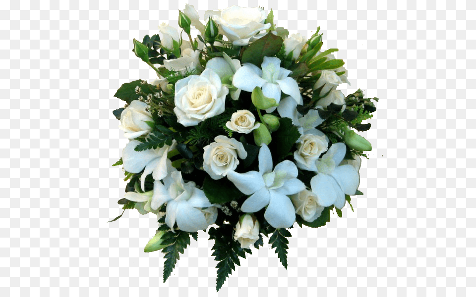 Ramo De Orqudeas Blancas, Flower, Flower Arrangement, Flower Bouquet, Plant Png Image