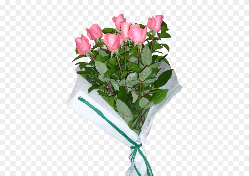 Ramo De Rosas, Flower, Flower Arrangement, Flower Bouquet, Plant Free Png Download