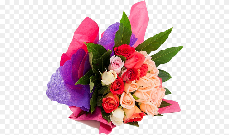 Ramo De Rosas, Flower, Flower Arrangement, Flower Bouquet, Plant Png