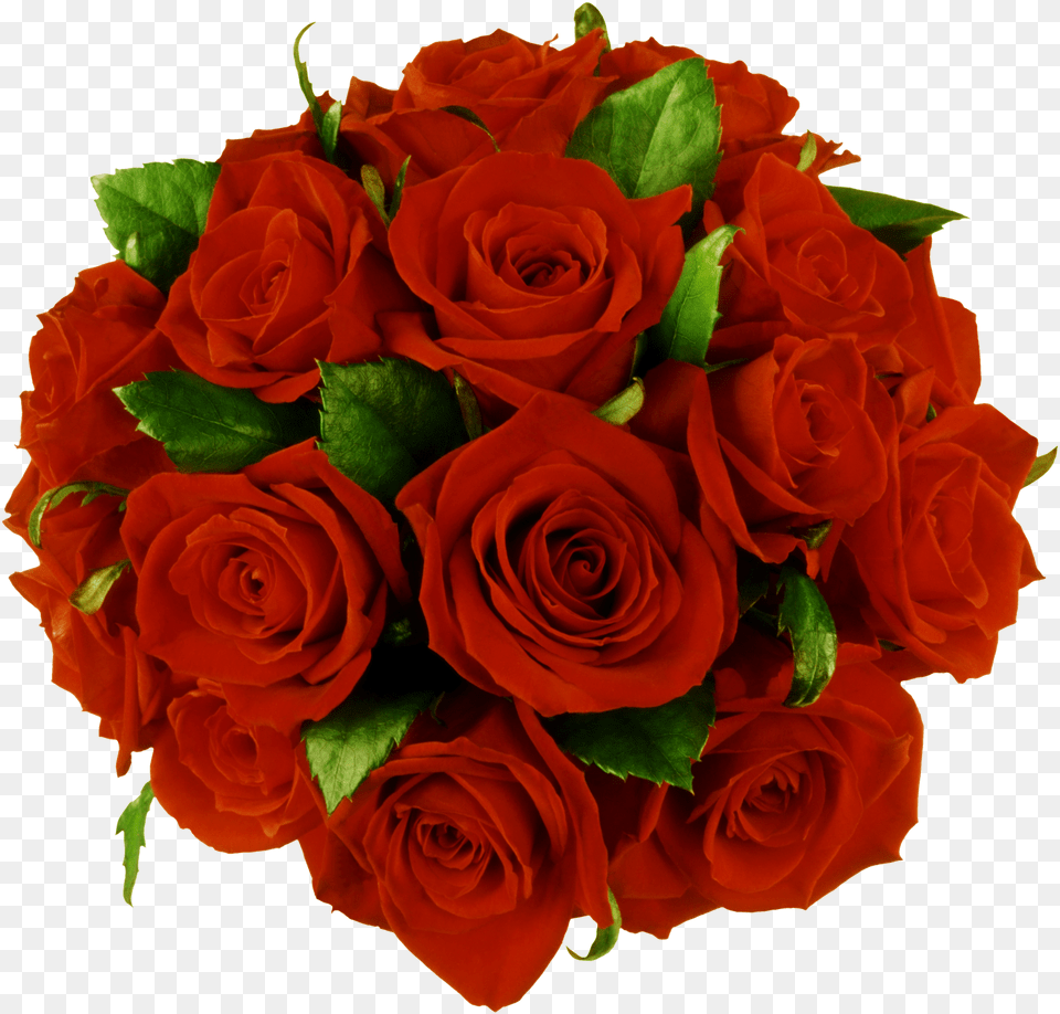 Ramo De Rosas Bouquet Of Flowers For Birthday, Flower, Flower Arrangement, Flower Bouquet, Plant Free Png