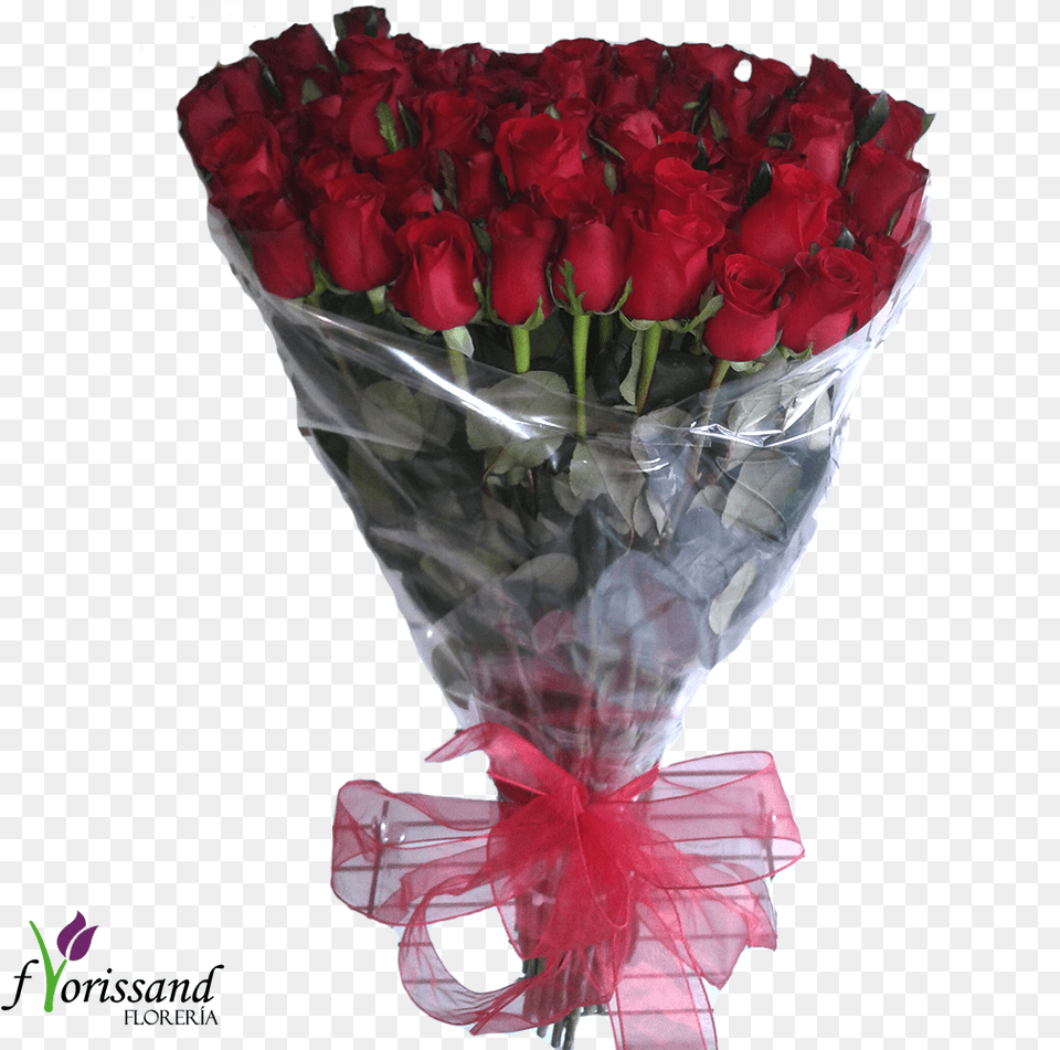 Ramo De Rosas Celofan Docena De Rosas Con Celofan, Rose, Flower, Flower Arrangement, Flower Bouquet Free Png