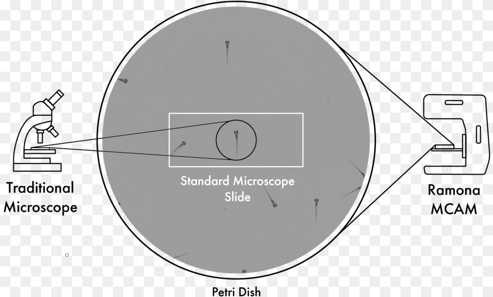 Ramona Optics Microscope Transparent Background, Nature, Night, Outdoors, Sphere Png