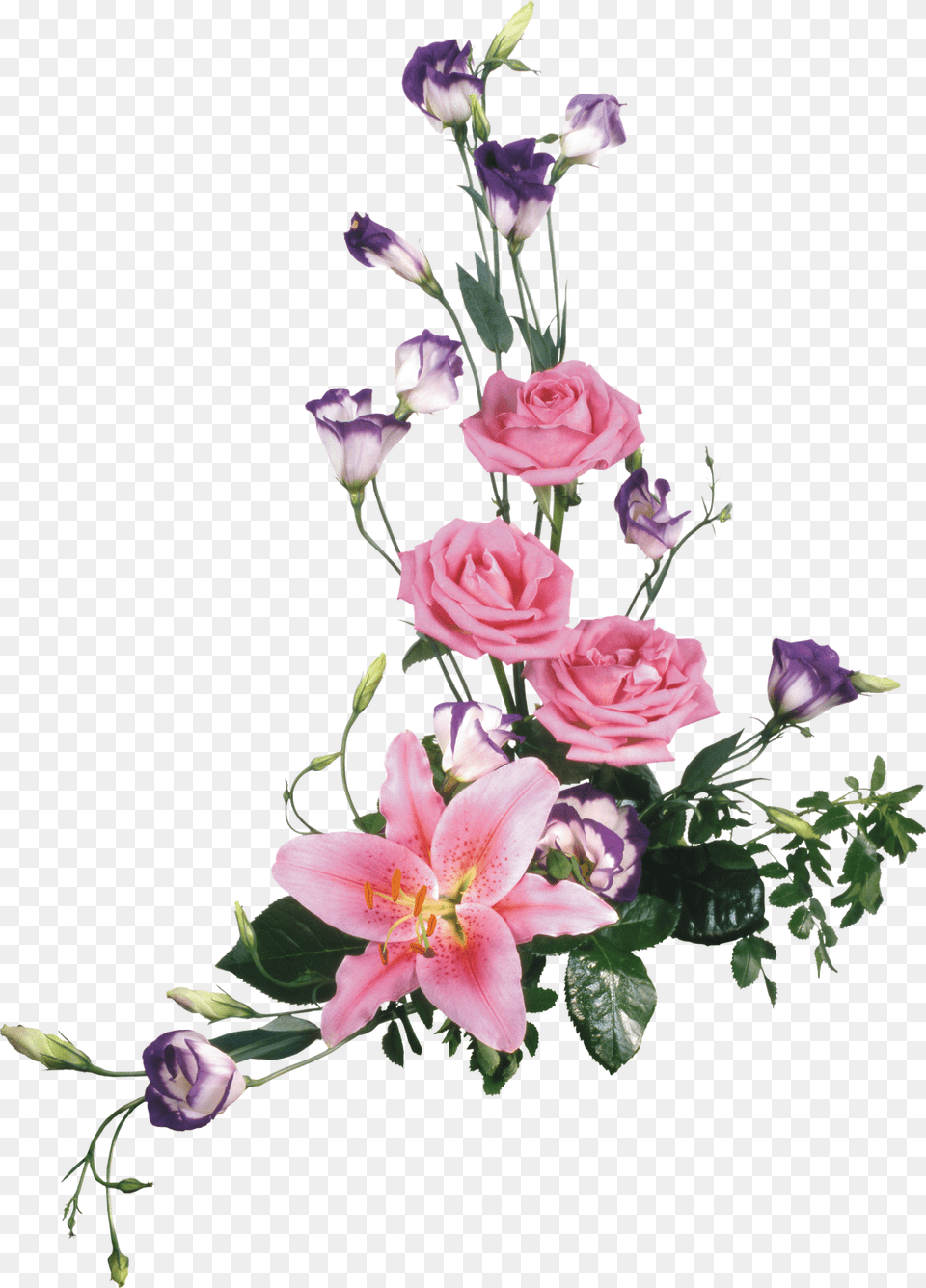 Ramos De Flores, Flower, Flower Arrangement, Flower Bouquet, Plant Free Png Download