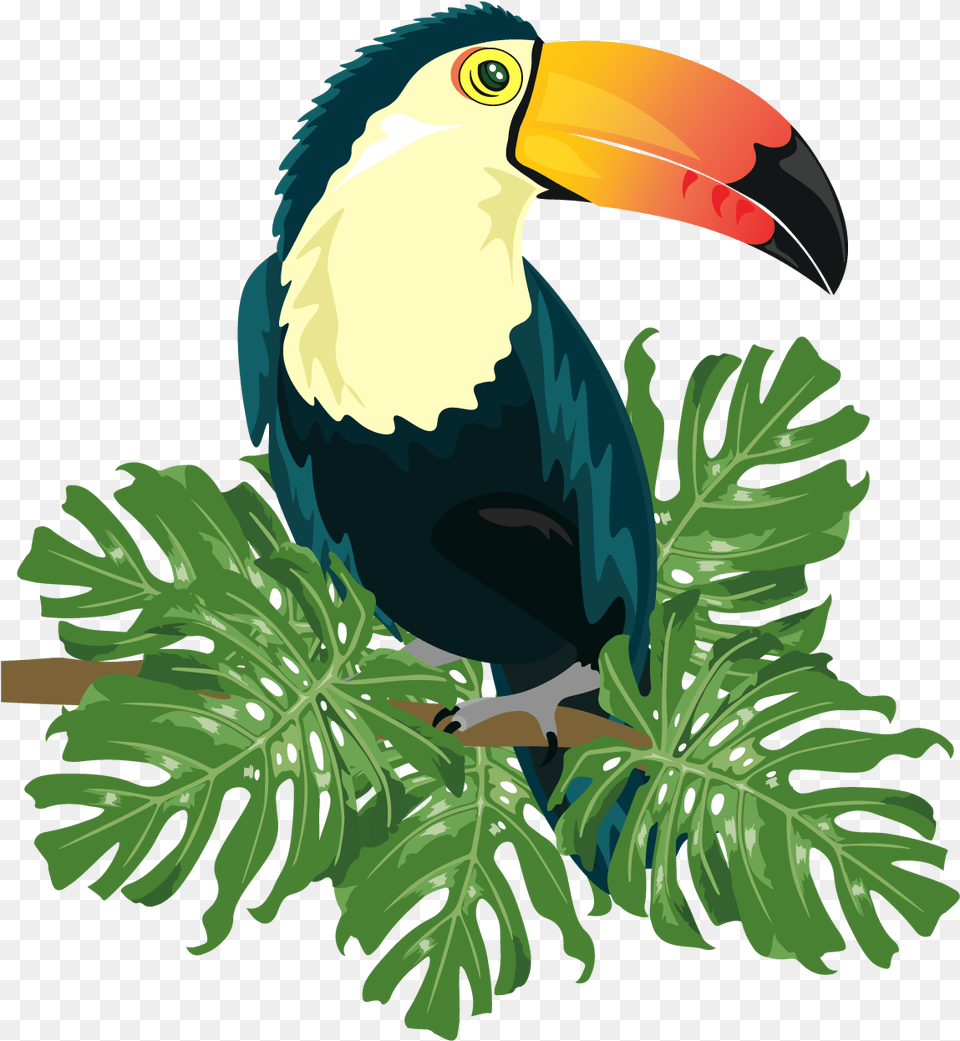 Ramphastinae Bird Ramphastos Illustration Tropical Bird Clip Art, Animal, Beak, Tree, Rainforest Png Image
