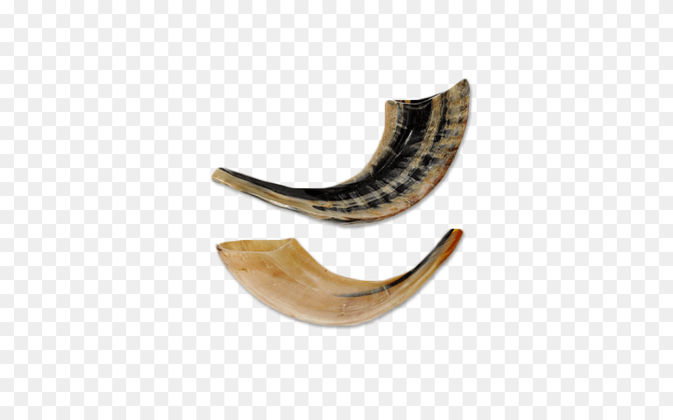 Rams Horn Shofar, Smoke Pipe, Brass Section, Musical Instrument Png