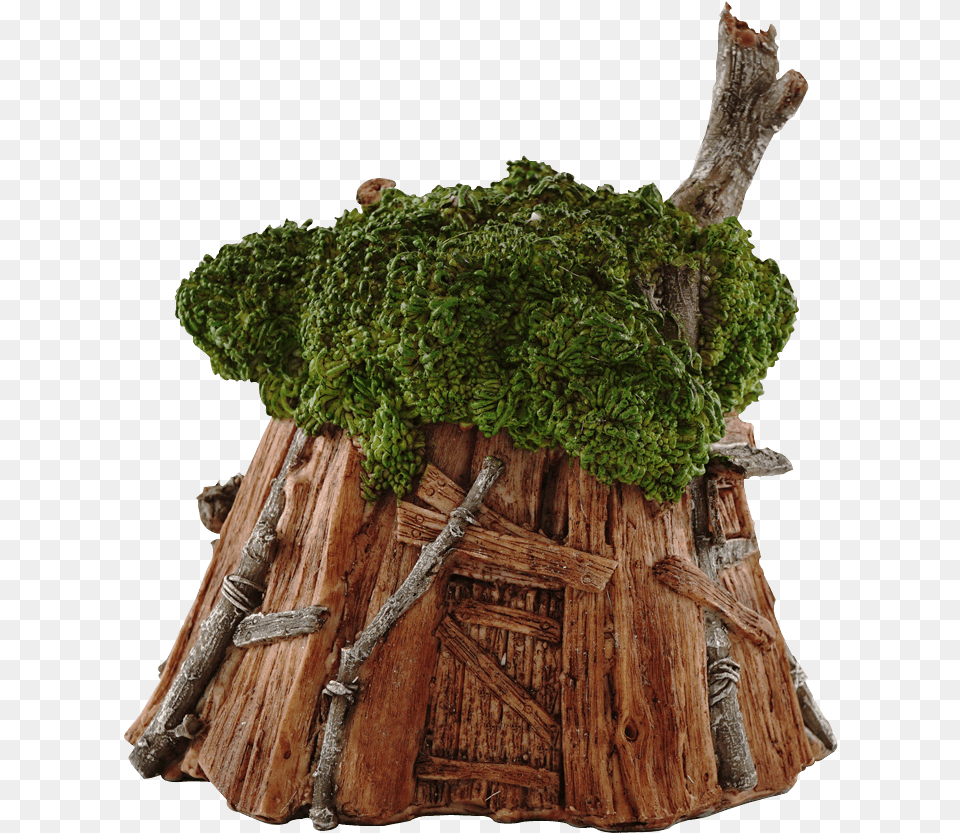Ramshackle Fairy House Redwood, Plant, Tree, Wood, Moss Free Png Download