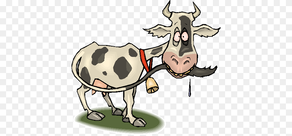 Ranch Rodeo Bible Series Cartoon Mad Cow Disease, Animal, Mammal, Cattle, Dairy Cow Png Image