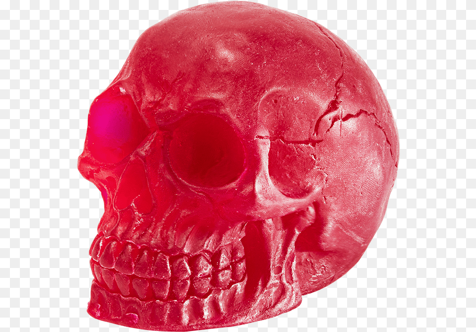 Rancid Raspberrytitle Rancid Raspberry Skull, Accessories, Jewelry, Gemstone, Person Free Transparent Png