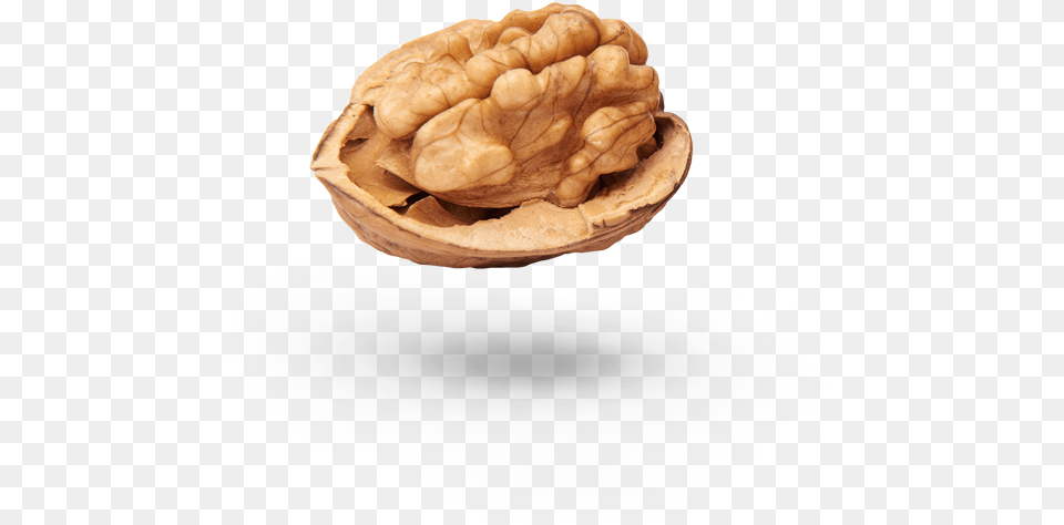 Rancidness Of Walnuts Walnut, Food, Nut, Plant, Produce Png