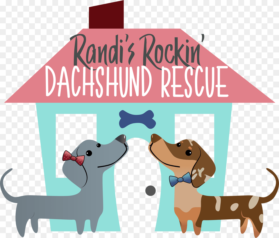 Randis Rockin Dachshund Rescue Bonner Springs Ks, Animal, Mammal, Pig, Outdoors Free Png Download