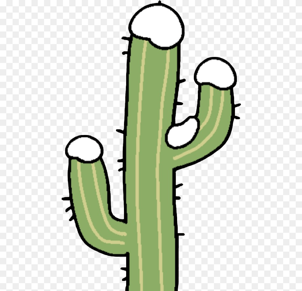Random Background Stuff Aesthetic Clipart Cactus Transparent Background, Plant Png Image