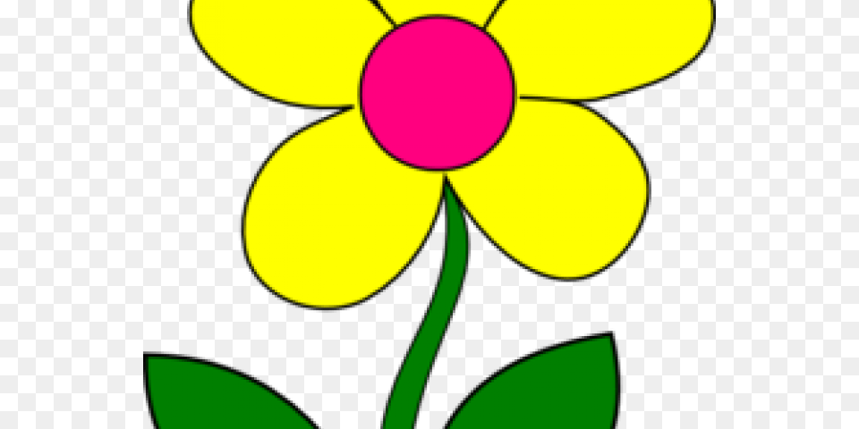 Random Cliparts, Daisy, Flower, Petal, Plant Free Png