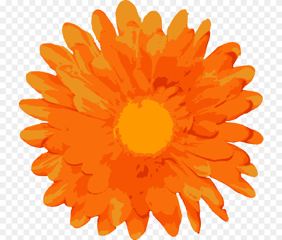 Random Flower Vectors Vector Marigold Flowers Vector, Dahlia, Daisy, Petal, Plant Free Png Download