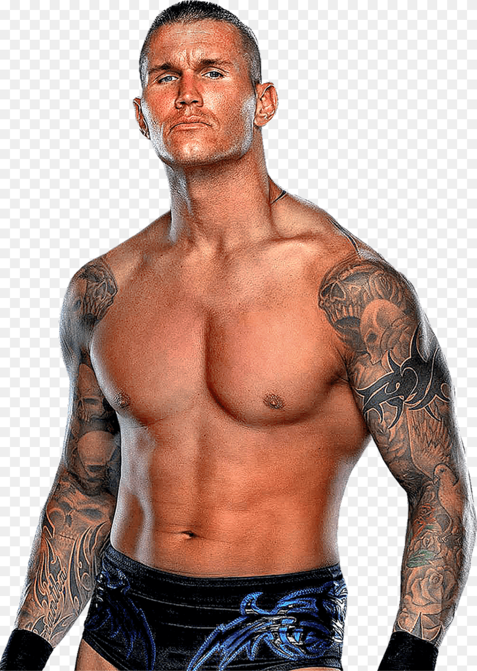 Randy Orton Tattoo Wallpaper Hd 2016 Download Randy Orton Arm Tattoos, Person, Skin, Adult, Male Png Image
