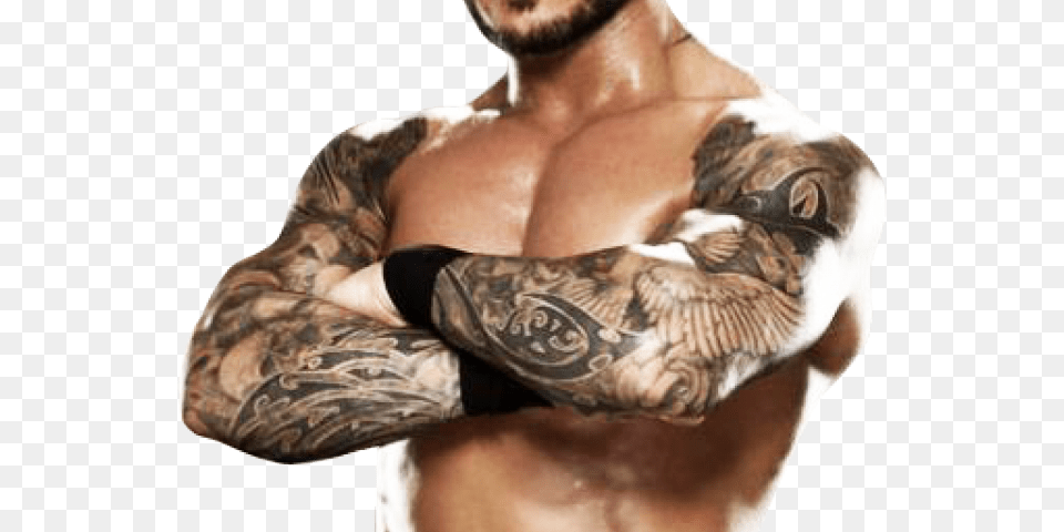 Randy Orton Transparent Images Wwe, Person, Skin, Tattoo, Arm Png