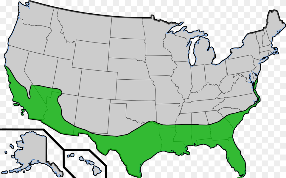 Range Of Sabal Palmetos In The United States Do Palm Trees Grow In The Us, Chart, Plot, Map, Atlas Free Png Download