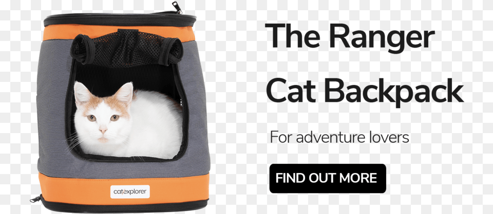Ranger Cat Backpack Carrier Domestic Short Haired Cat, Animal, Mammal, Pet, Bag Free Png