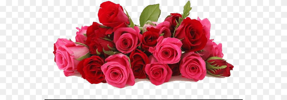 Rangkaian Bunga Happy New Year With Love, Flower, Flower Arrangement, Flower Bouquet, Plant Free Transparent Png