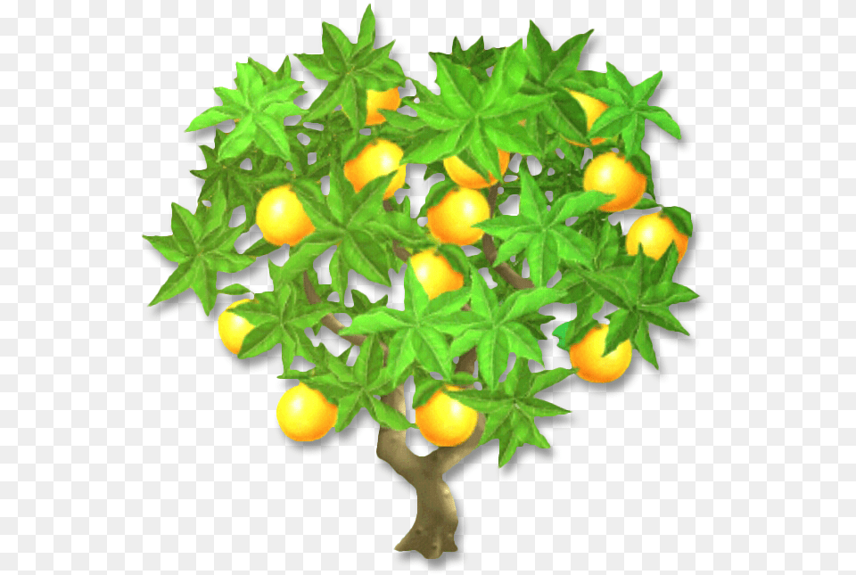 Rangpur, Citrus Fruit, Food, Fruit, Lemon Free Png Download