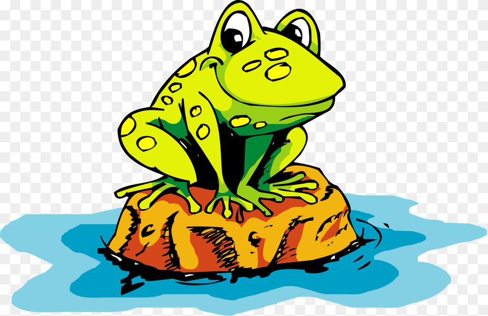 Ranita The Frog Princess, Amphibian, Animal, Wildlife, Person Png