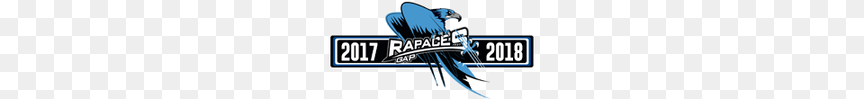 Rapaces De Gap Saison 17, Animal, Bird, Jay, Scoreboard Png