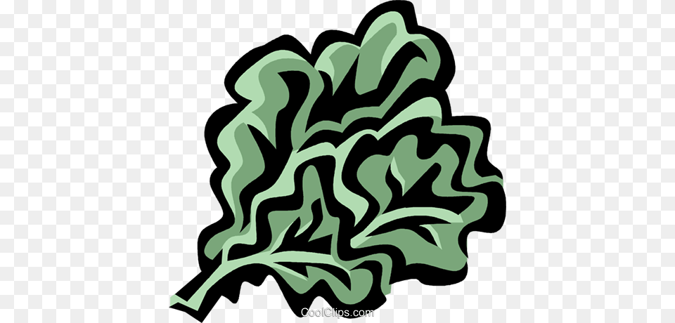 Rapini Royalty Vector Clip Art Illustration, Food, Leafy Green Vegetable, Plant, Produce Free Png