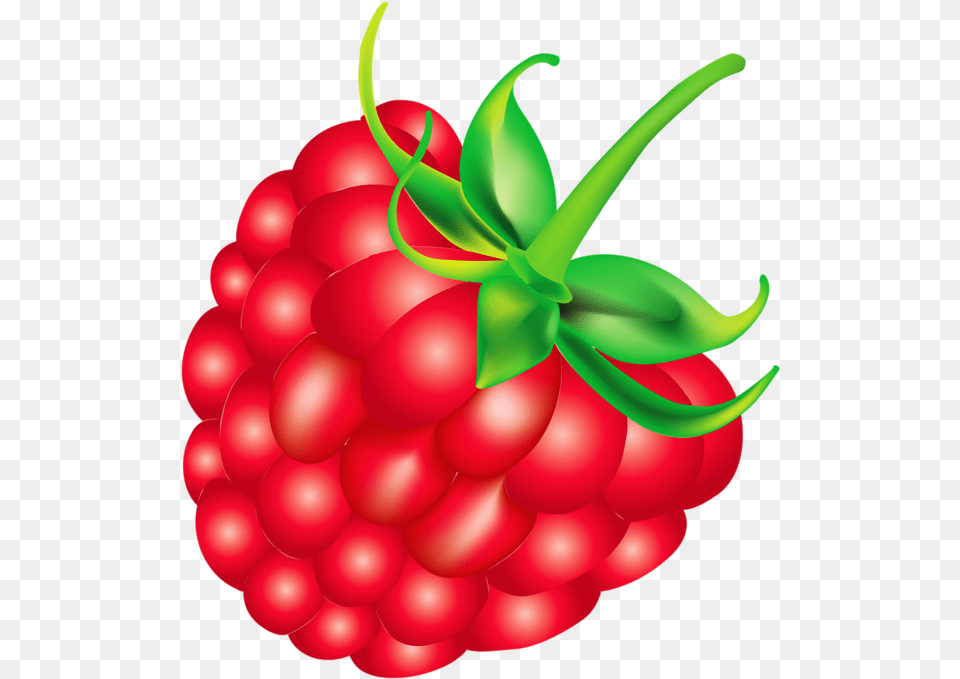 Rapsberry Clipart Fruit Salad Raspberry Cartoon, Berry, Food, Plant, Produce Free Png Download