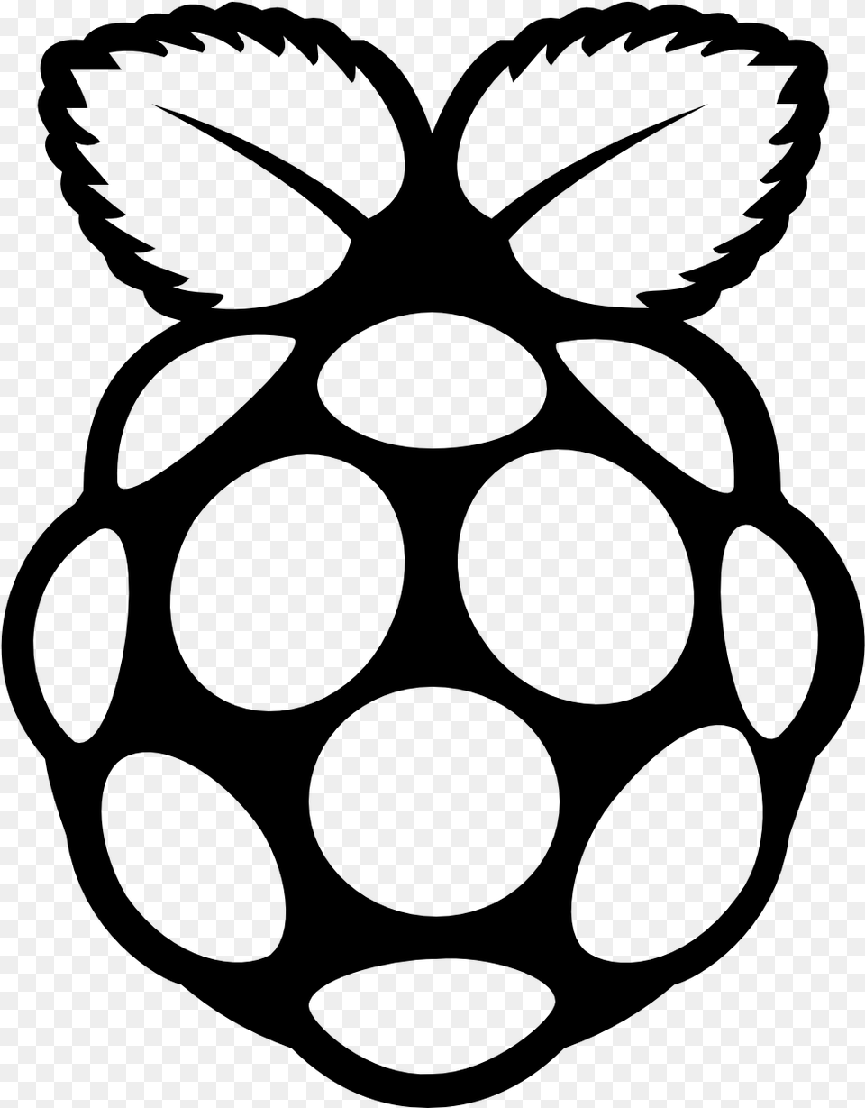 Rapsberry Clipart Raspberry Pi Raspberry Pi Icon, Gray Free Transparent Png