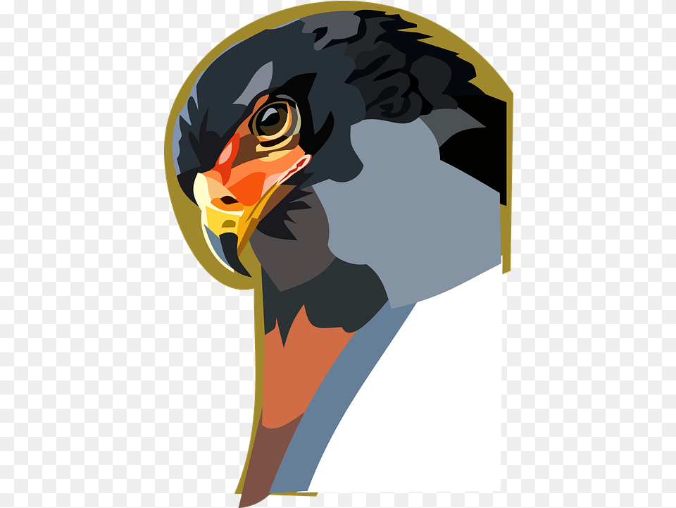 Raptor Animal Bird Digital Golden Eagle, Beak, Vulture, Person, Hawk Png Image