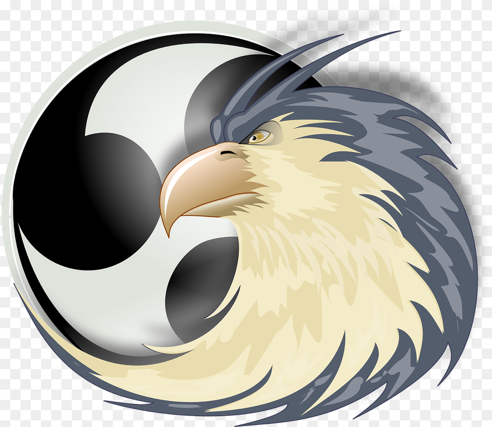 Raptor Clipart Garras De Aguila, Animal, Beak, Bird, Eagle Free Transparent Png