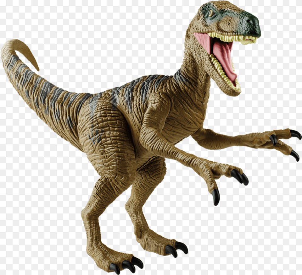 Raptor Dino, Animal, Dinosaur, Reptile, T-rex Png