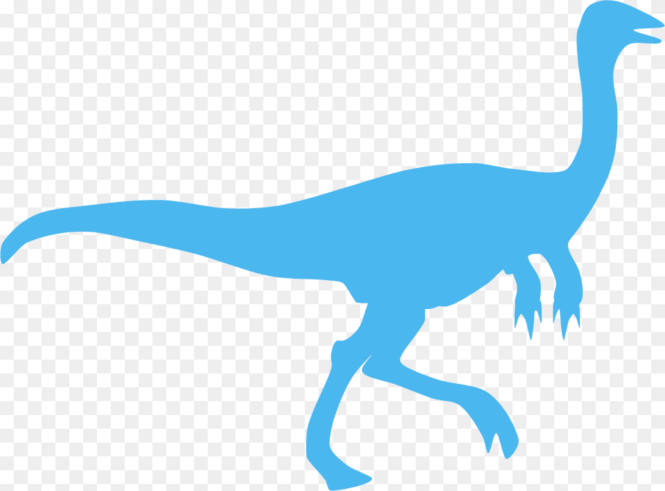 Raptor Dinosaur Silhouette, Animal, Reptile, Fish, Sea Life Free Png Download