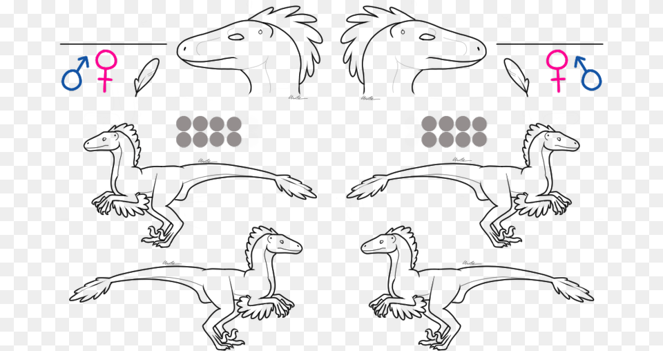 Raptor Lineart To Use Raptor Base, Text Free Transparent Png