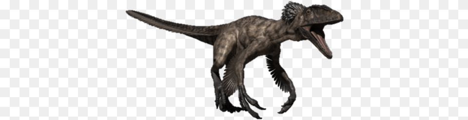 Raptor New Deinonychus Walking With Dinosaurs, Animal, Dinosaur, Reptile, T-rex Free Png