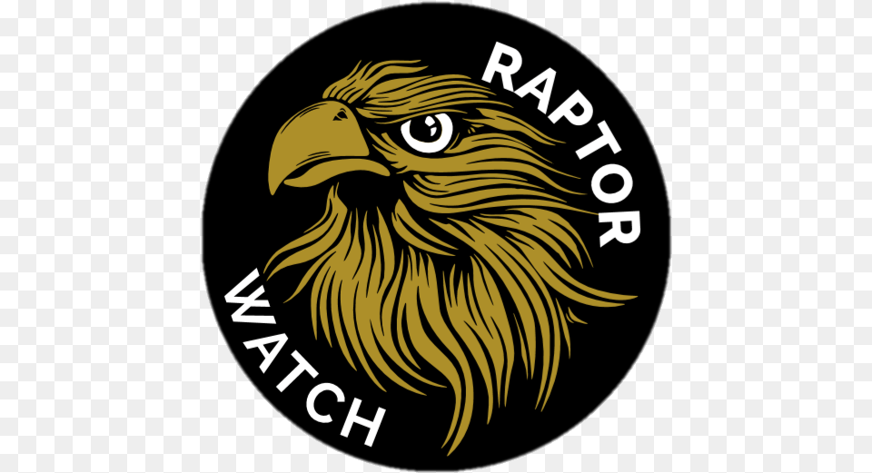 Raptor Watch 2020 Button Badge Hawk, Animal, Beak, Bird, Eagle Free Png Download