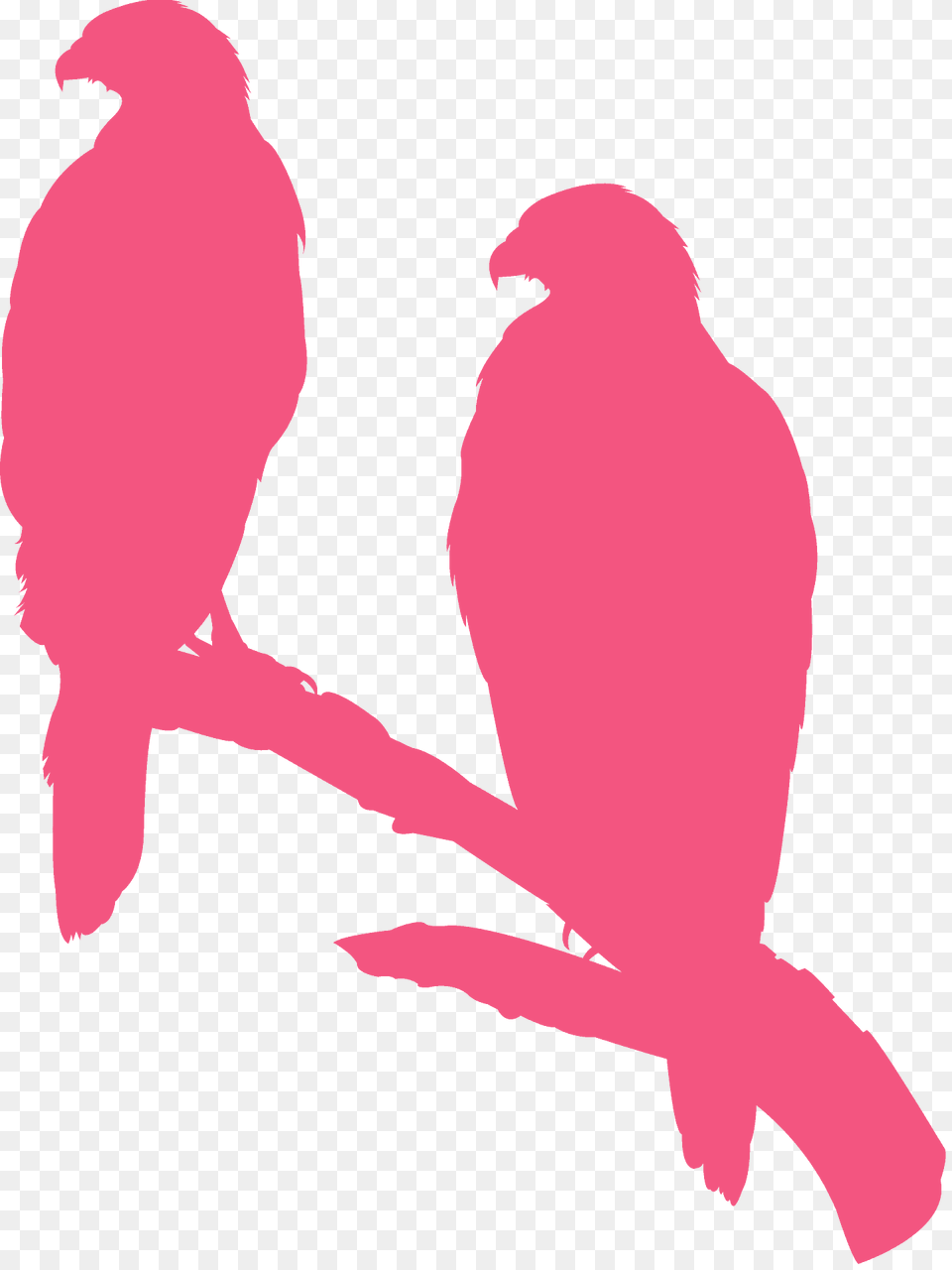 Raptors Silhouette, Animal, Bird, Vulture, Person Png Image
