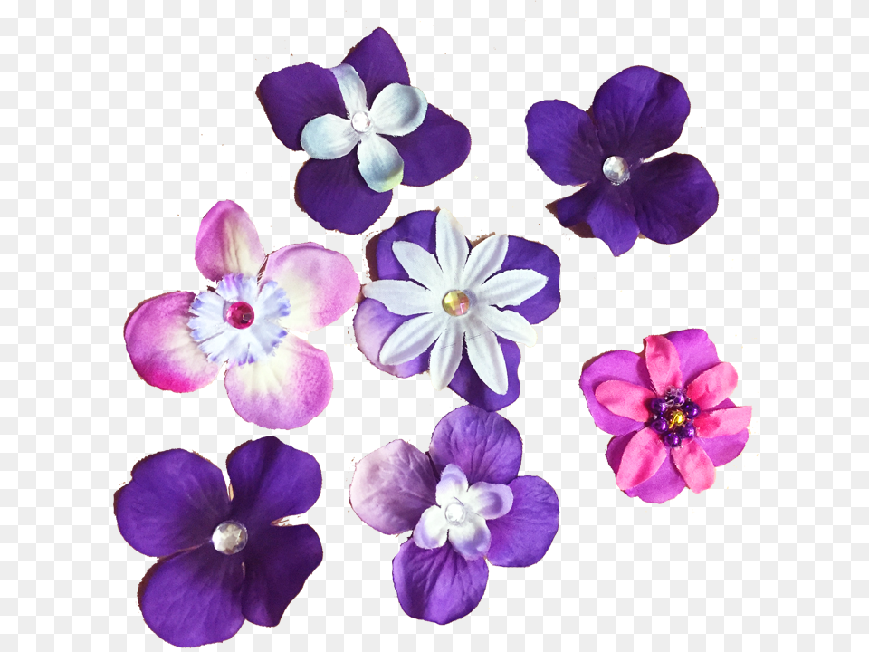 Rapunzel Flowers, Anemone, Flower, Geranium, Petal Free Transparent Png