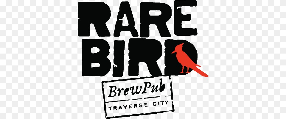 Rare Bird Brewpub Traverse City Rare Bird Traverse City, Animal, Adult, Male, Man Free Transparent Png