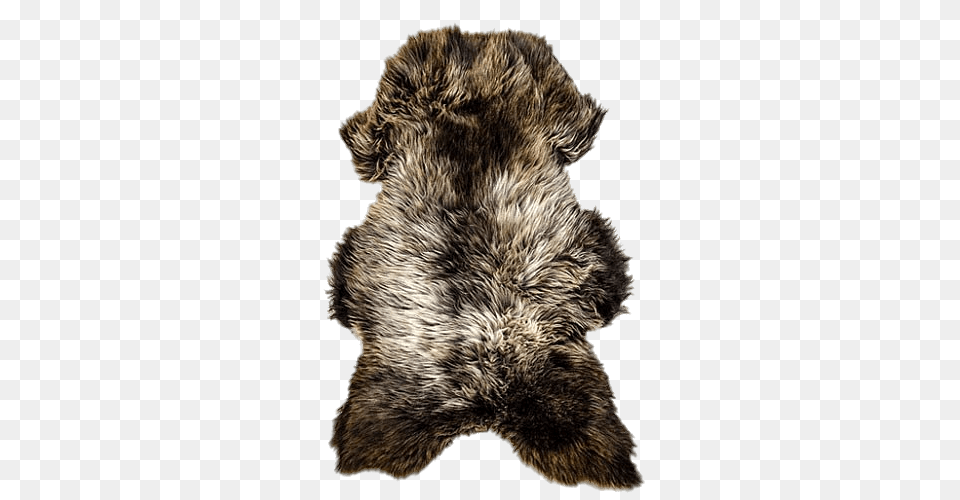 Rare Breed Sheepskin Rug, Home Decor, Teddy Bear, Toy, Clothing Png Image