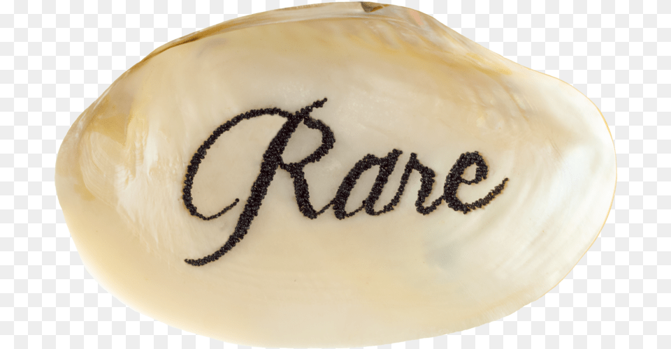 Rare Shell No Bg Calligraphy, Animal, Clam, Food, Invertebrate Png Image