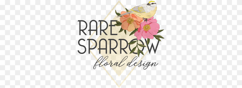 Rare Sparrow Floral Design San Francisco Wedding Flowers Bia Parade Of Homes, Mail, Envelope, Greeting Card, Pattern Free Png