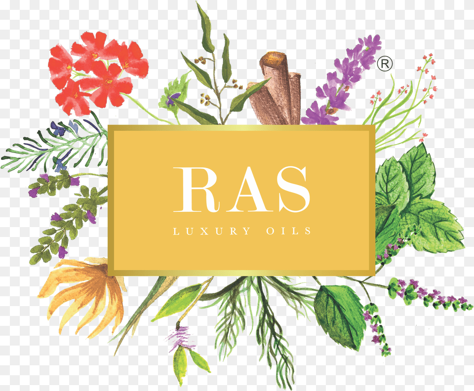 Ras Argan Oil Price, Herbs, Plant, Leaf, Herbal Free Png