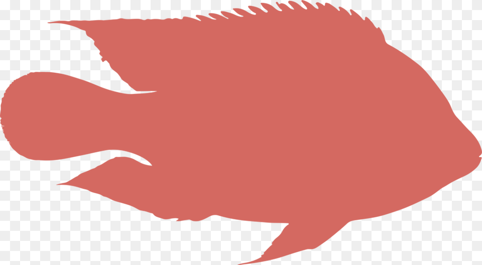 Ras Red Fish Portable Network Graphics, Animal, Sea Life, Maroon, Shark Png Image