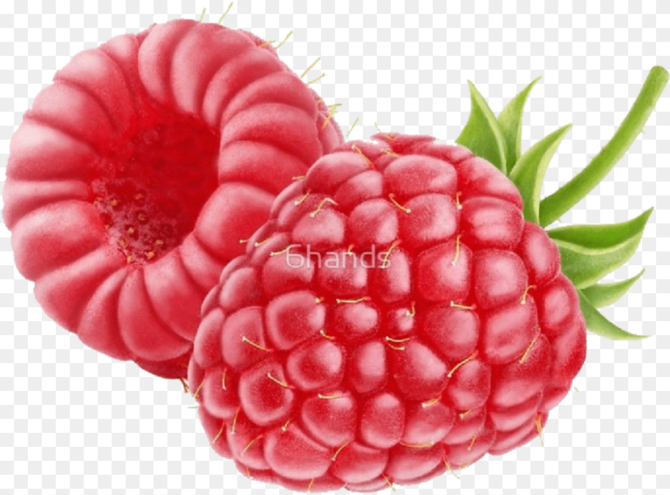 Rasberry Red Colour Fruit Art Stickers Clipart Raspberry Blackberry, Berry, Food, Plant, Produce Free Transparent Png